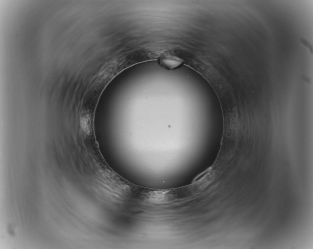 X0000100850090200806201224