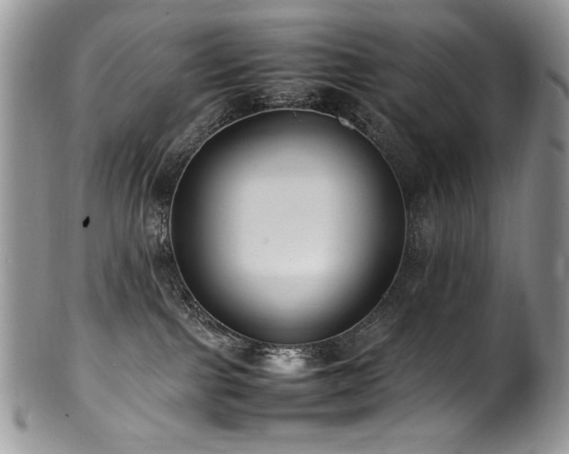 X0000100850091200806201224