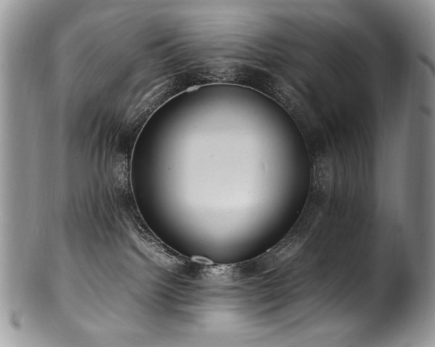 X0000100850092200806201224