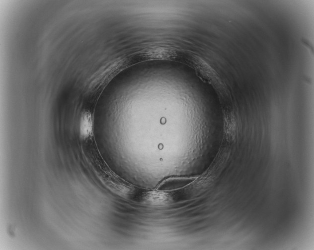 X0000100850095200806201224