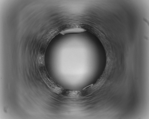 X0000100850096200806201224