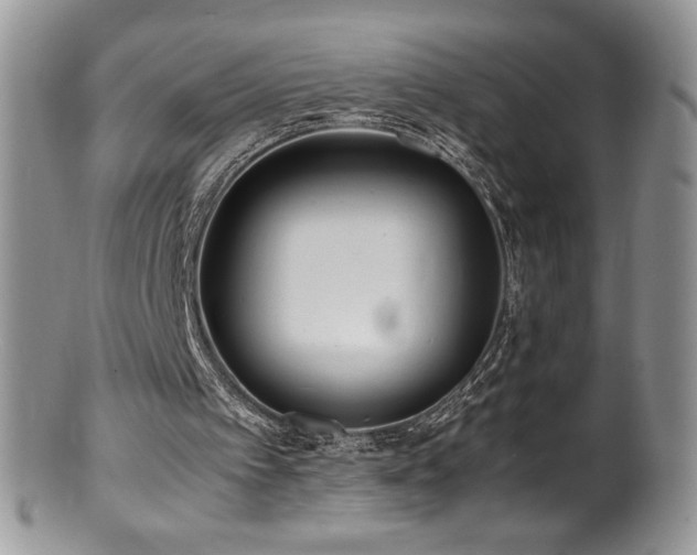 X0000100850097200806201224
