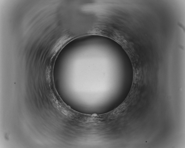 X0000100850098200806201224