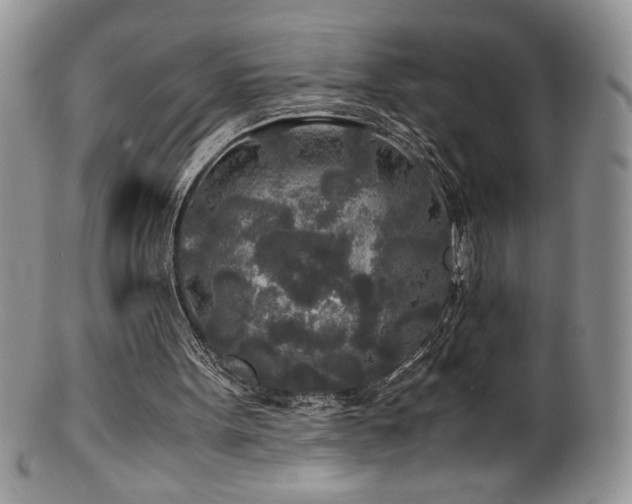 X0000100850099200806201224
