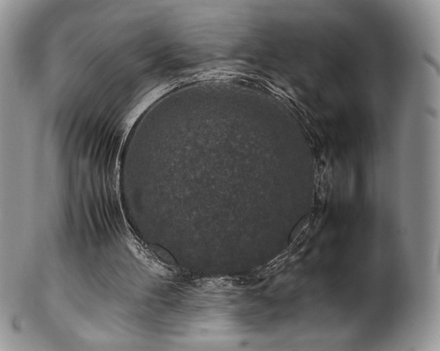 X0000100850100200806201223