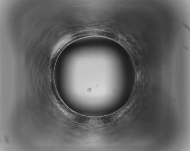 X0000100850101200806201223