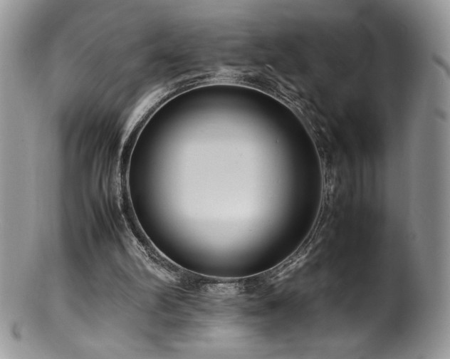 X0000100850102200806201223
