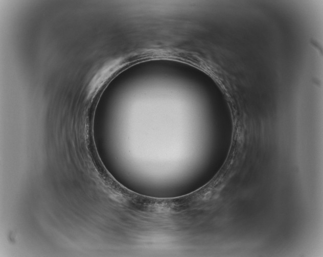 X0000100850103200806201223