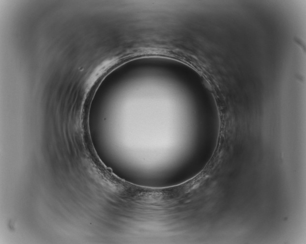 X0000100850104200806201223