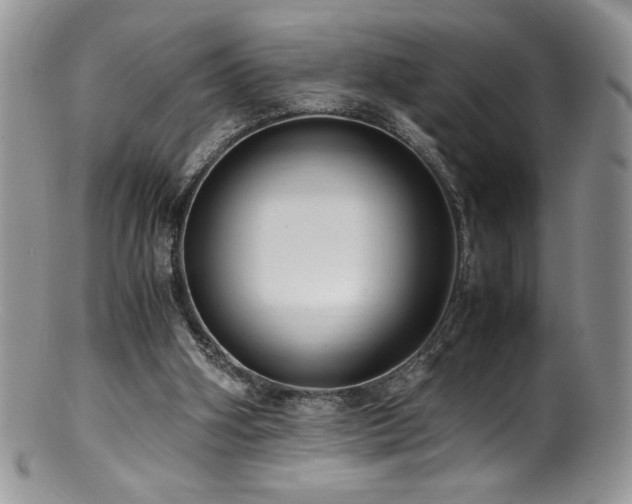 X0000100850106200806201223