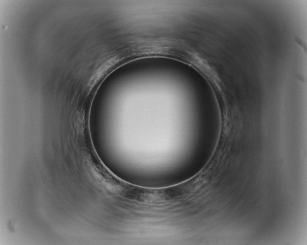 X0000100850107200806201223