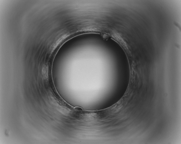 X0000100850108200806201223