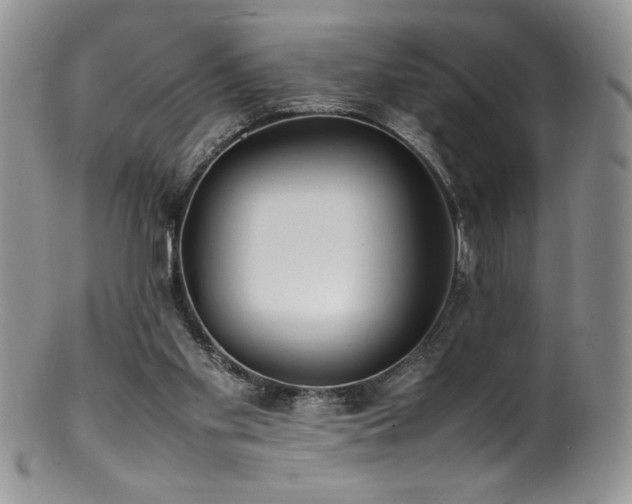 X0000100850109200806201223