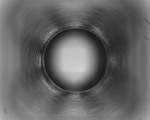 X0000100850110200806201223