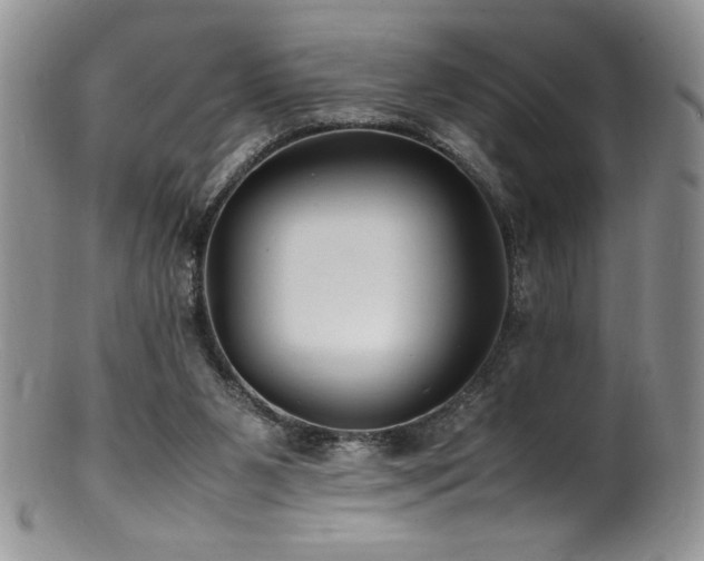 X0000100850111200806201223
