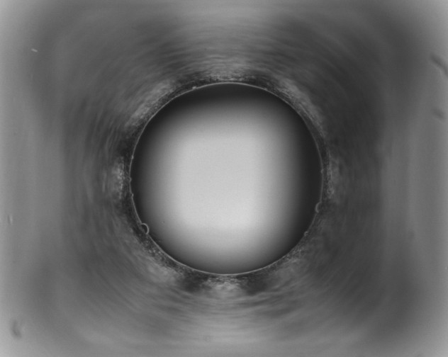 X0000100850113200806201223