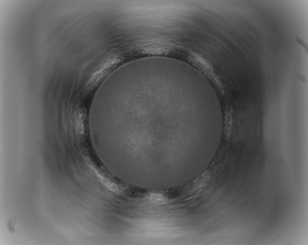 X0000100850114200806201223