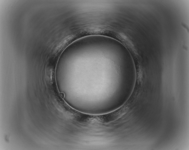 X0000100850115200806201223