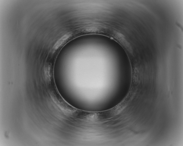 X0000100850116200806201223