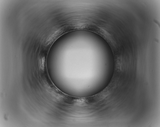 X0000100850118200806201223