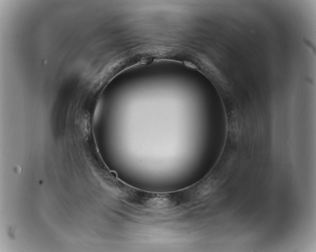 X0000100850119200806201223