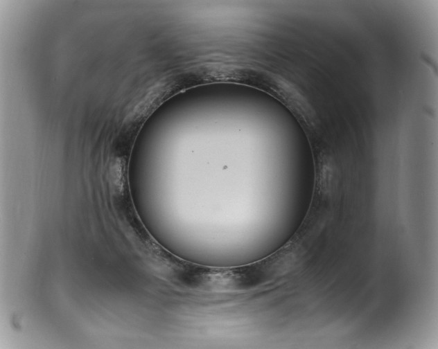 X0000100850121200806201223