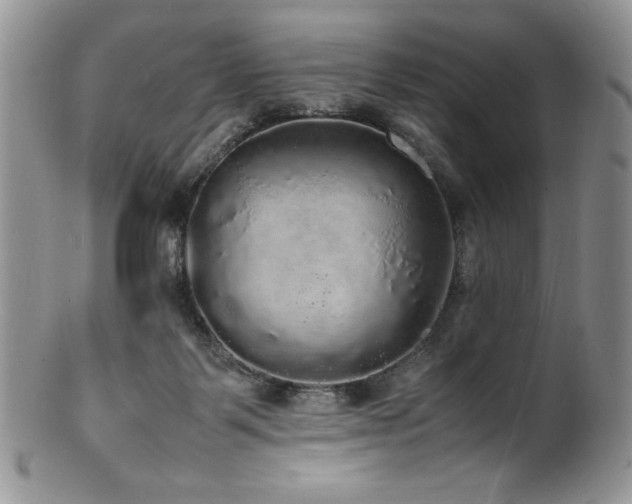 X0000100850123200806201223