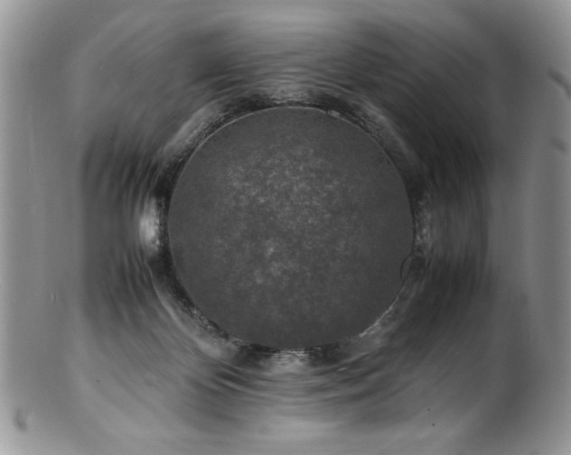 X0000100850124200806201223