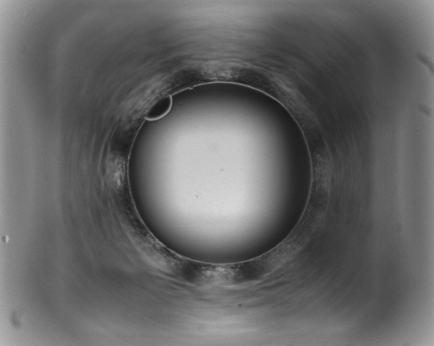 X0000100850125200806201223