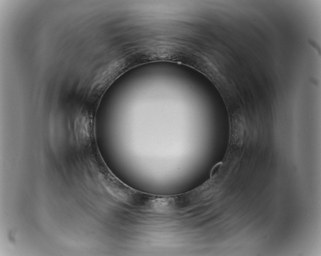 X0000100850126200806201223