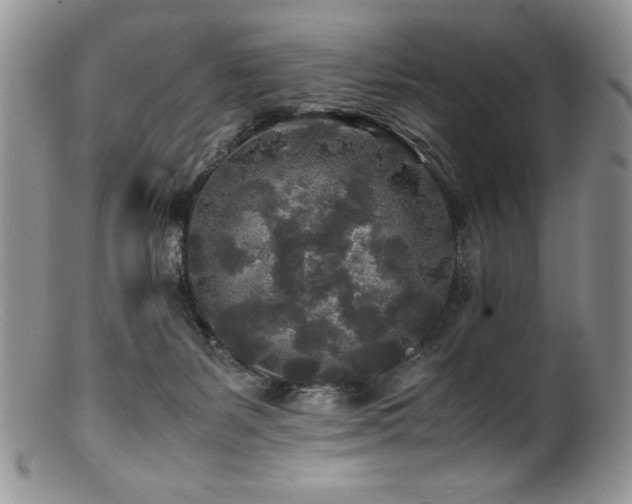 X0000100850127200806201223