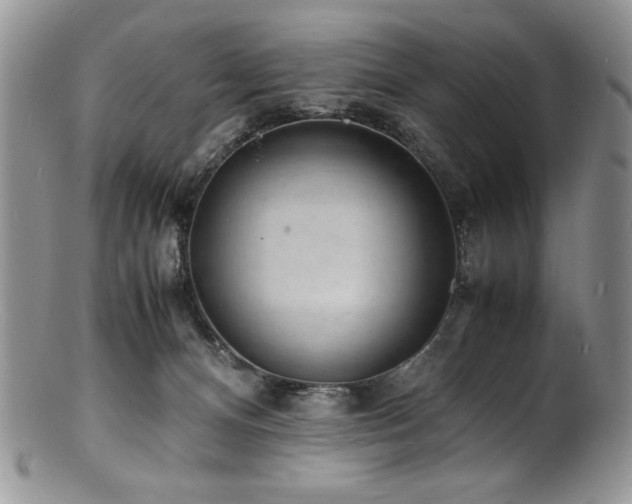 X0000100850128200806201223