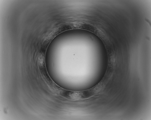 X0000100850129200806201223