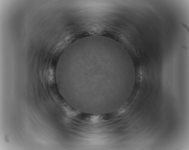 X0000100850130200806201223