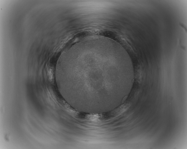 X0000100850131200806201223