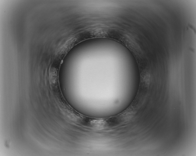 X0000100850133200806201223