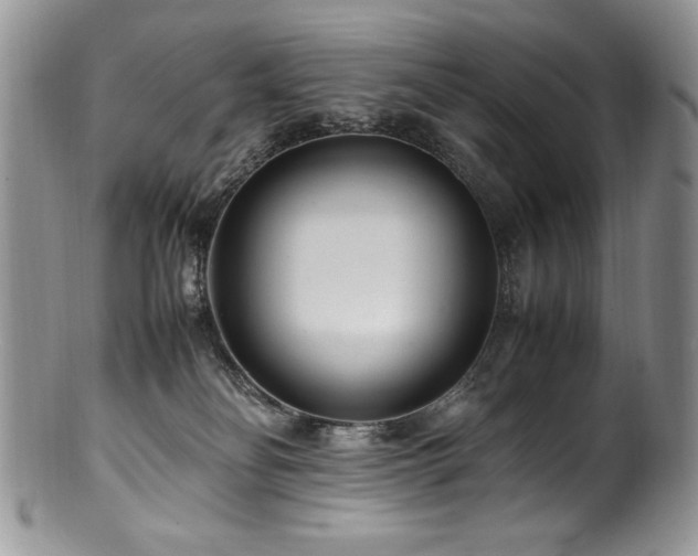 X0000100850134200806201223
