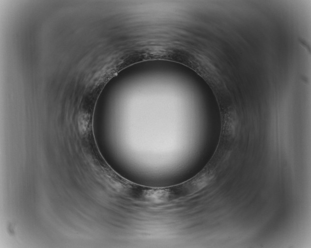 X0000100850135200806201223