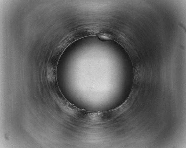 X0000100850136200806201223