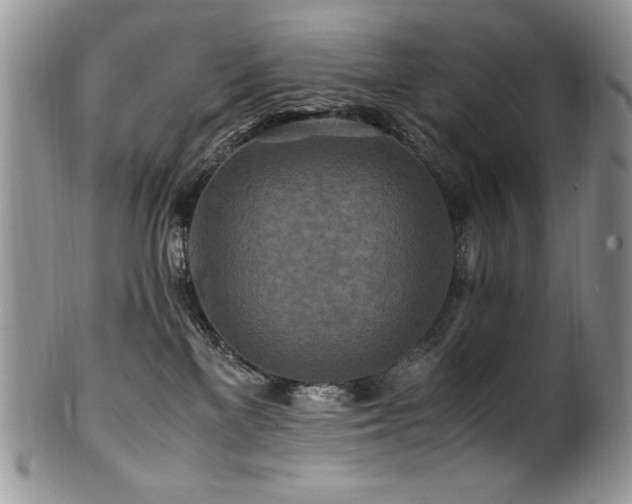X0000100850137200806201223