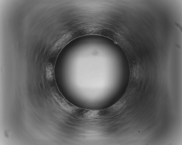 X0000100850138200806201223