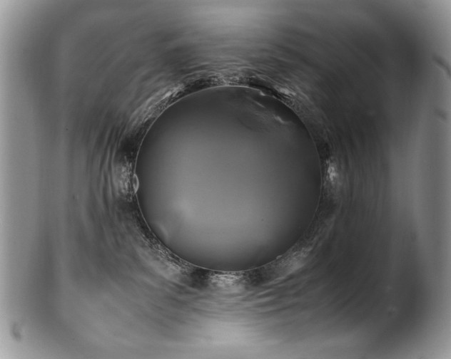 X0000100850139200806201223