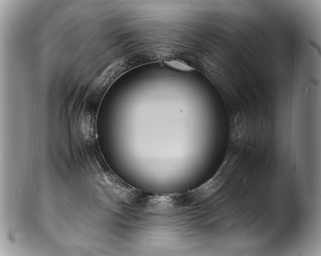X0000100850140200806201223