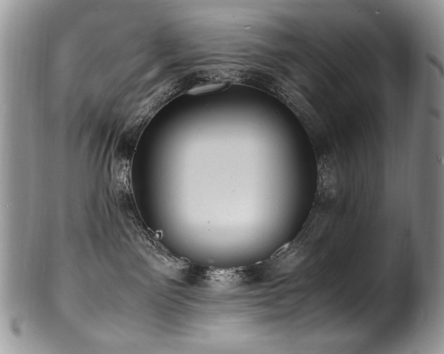 X0000100850141200806201223