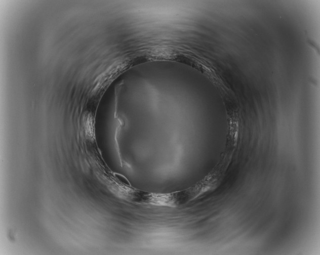 X0000100850143200806201223