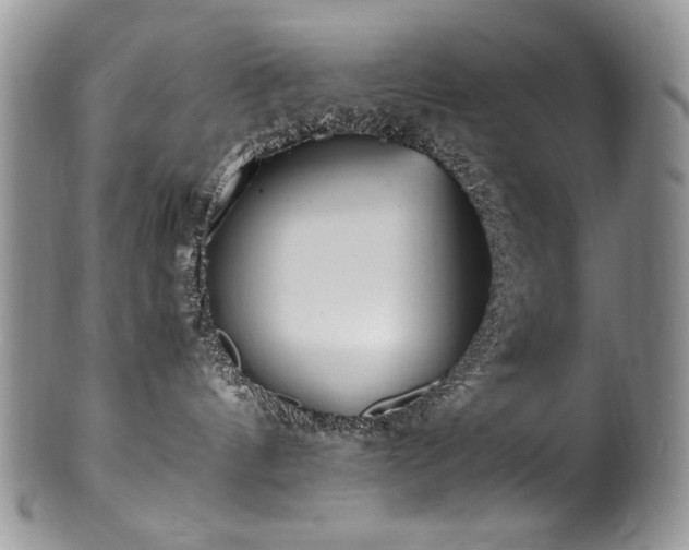 X0000100850144200806201223