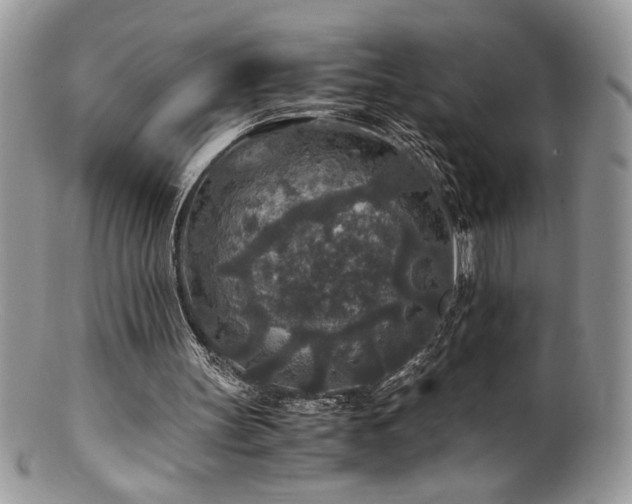X0000100850147200806201222