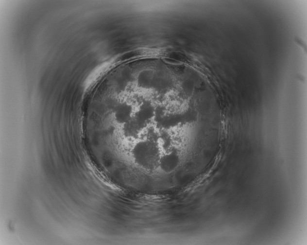 X0000100850149200806201222