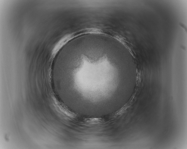 X0000100850151200806201222