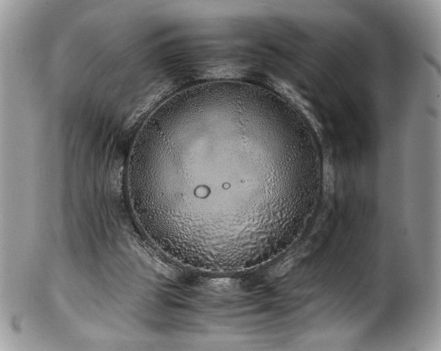 X0000100850153200806201222